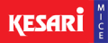 footer-logo